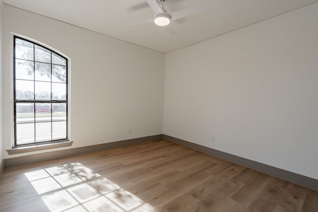 spare room with light hardwood / wood-style flooring, plenty of natural light, and ceiling fan