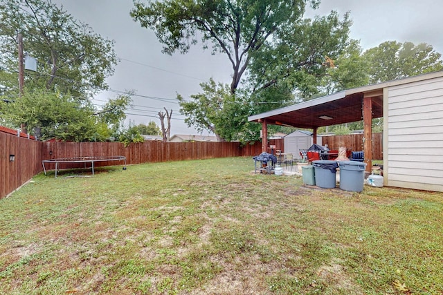 view of yard featuring a shed and a trampoline