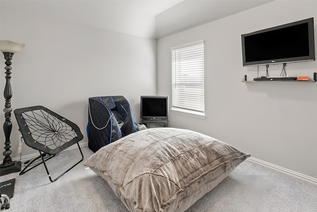 bedroom with light colored carpet