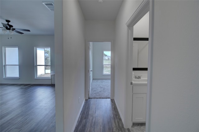 hall with dark hardwood / wood-style floors and sink