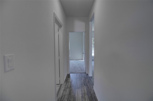 hall featuring dark hardwood / wood-style floors