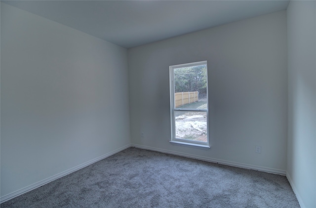 spare room featuring plenty of natural light and carpet flooring