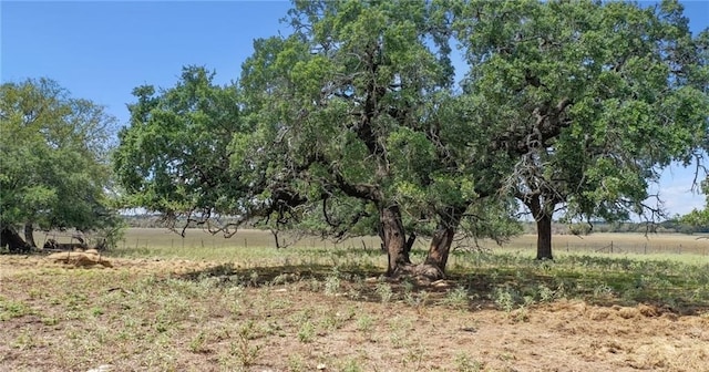 Listing photo 3 for 000 County Road 174, Gatesville TX 76528