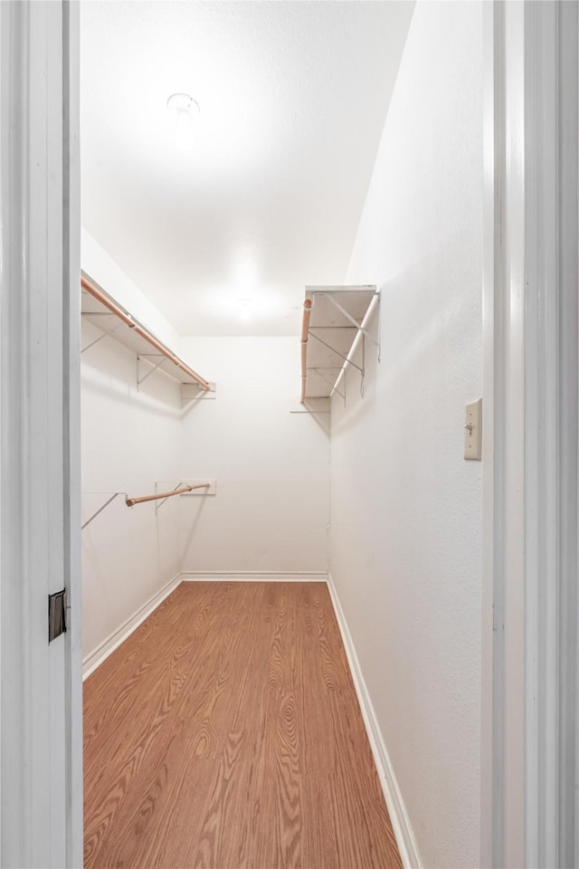 walk in closet with light wood-type flooring