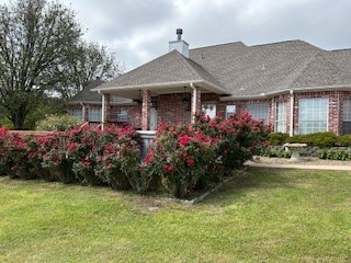 back of house featuring a yard