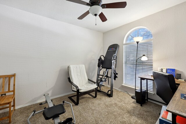 carpeted office space with ceiling fan