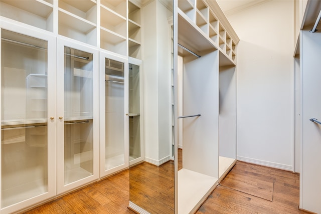 spacious closet featuring wood-type flooring