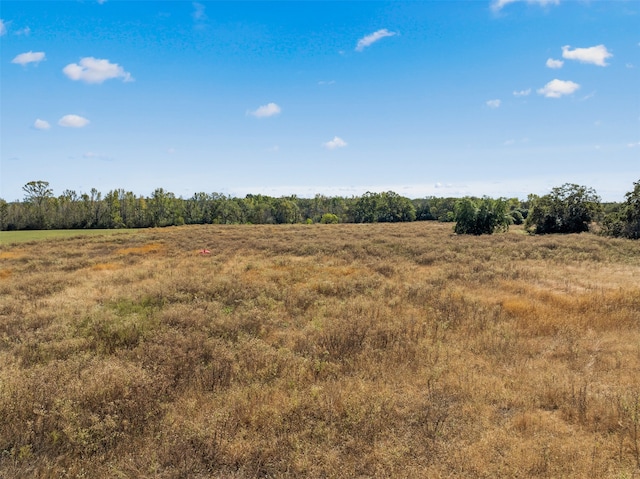 view of nature featuring a rural view