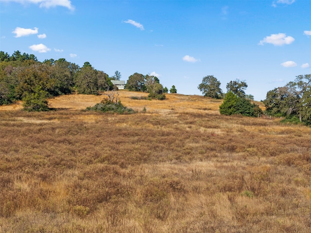 view of local wilderness featuring a rural view