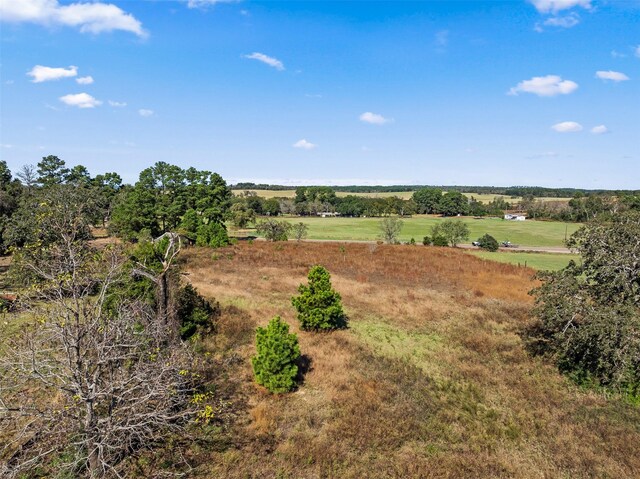 bird's eye view featuring a rural view