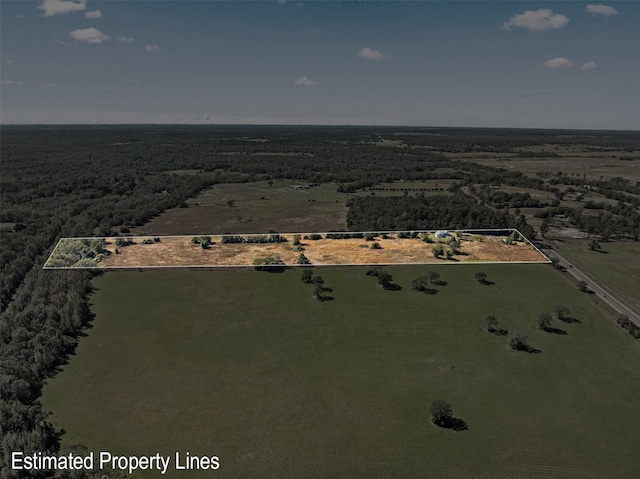 birds eye view of property featuring a rural view