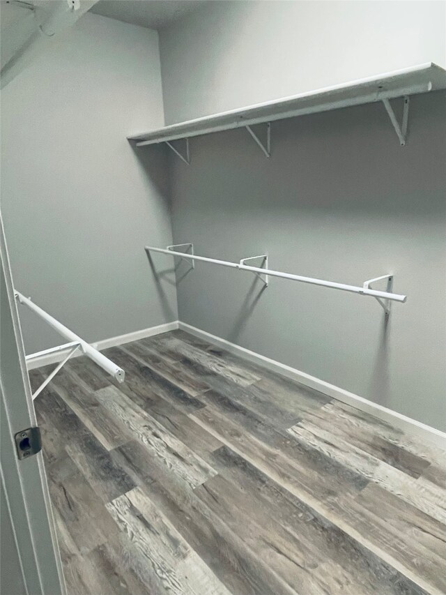 spacious closet featuring wood finished floors