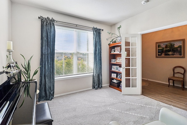 sitting room featuring hardwood / wood-style flooring