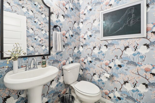 bathroom featuring sink and toilet