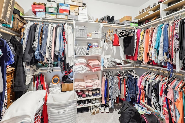 walk in closet featuring carpet floors