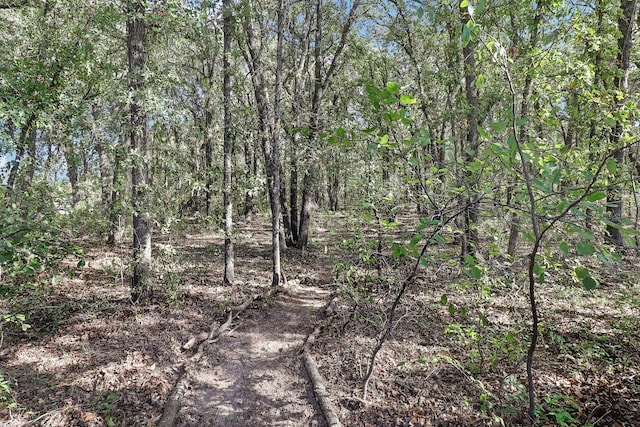 view of local wilderness