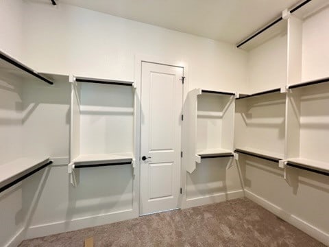 spacious closet with carpet