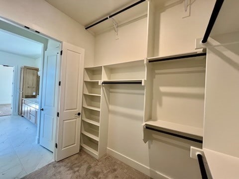 spacious closet featuring light colored carpet