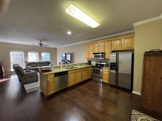 kitchen with sink, kitchen peninsula, light stone counters, appliances with stainless steel finishes, and dark hardwood / wood-style flooring