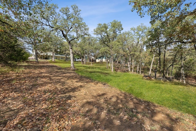 16 Hidden Valley Airpark, Shady Shores, TX 76208 - view of green lawn
