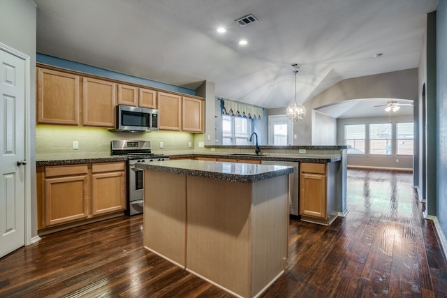 kitchen with a healthy amount of sunlight, a center island, stainless steel appliances, and dark hardwood / wood-style floors