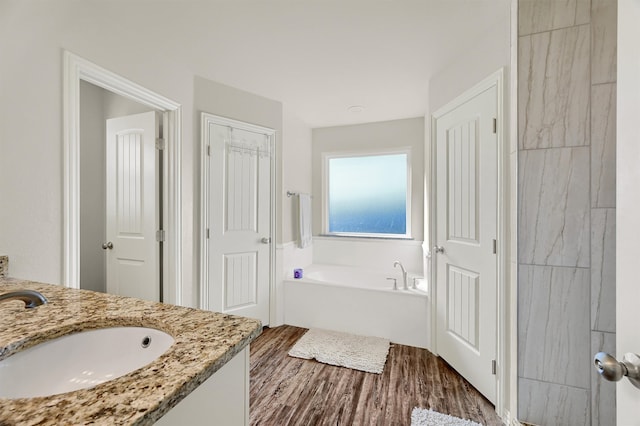 bathroom with vanity, wood-type flooring, and a washtub