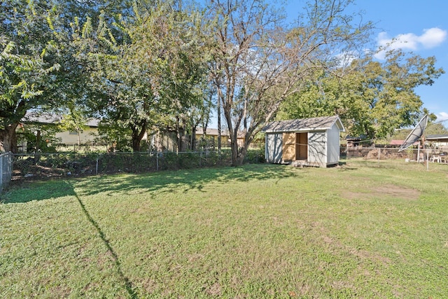 view of yard with a shed