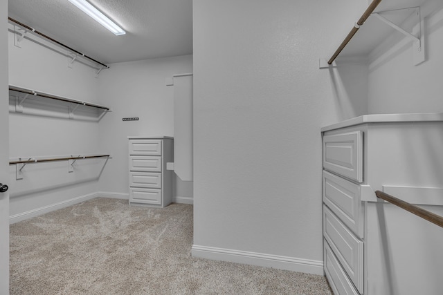 walk in closet with light carpet