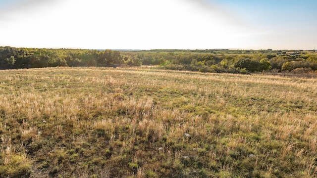 Listing photo 3 for LOT88 Mason Ct, Dublin TX 76446