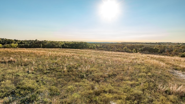 Listing photo 3 for LOT88 Mason Ct, Dublin TX 76446