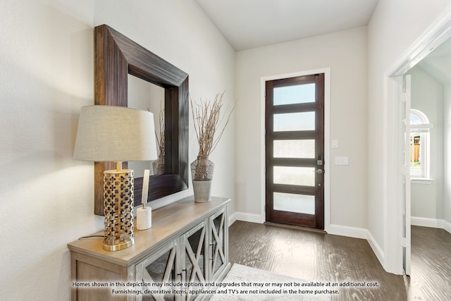 entryway featuring dark hardwood / wood-style flooring