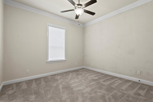 unfurnished room featuring light carpet, ceiling fan, and crown molding