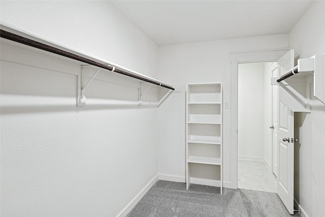 spacious closet featuring light carpet