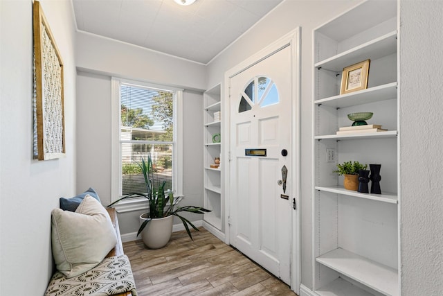 entrance foyer with light hardwood / wood-style flooring