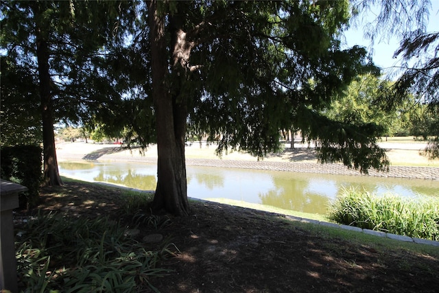 view of water feature