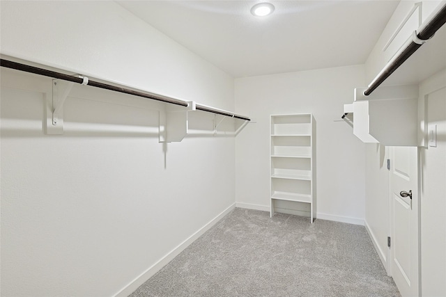 walk in closet featuring light colored carpet