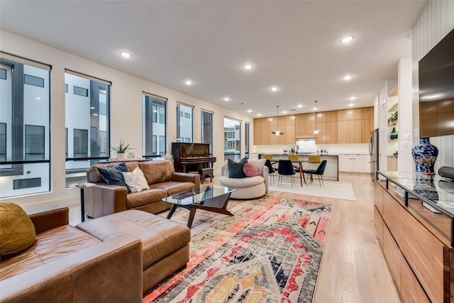 living room with light hardwood / wood-style floors