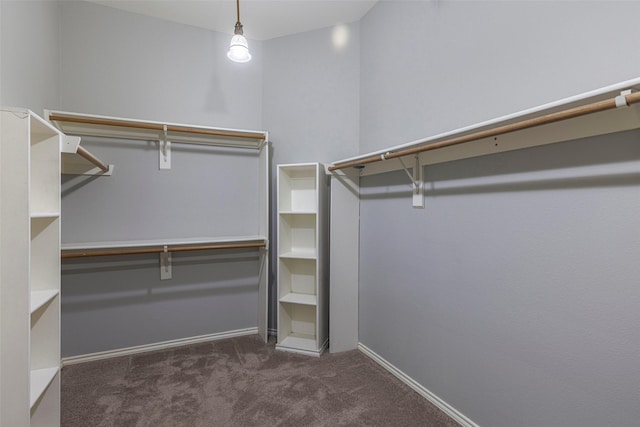 1005 Carina Ct, Arlington, TX 76013 - spacious closet with carpet floors
