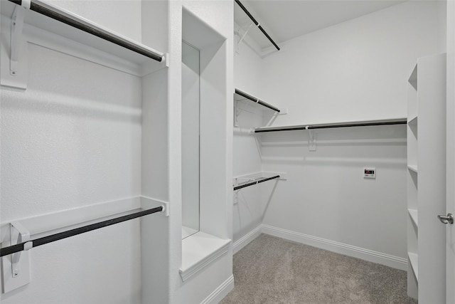 1813 Morning Mist Way, Mesquite, TX 75181 - spacious closet with light carpet