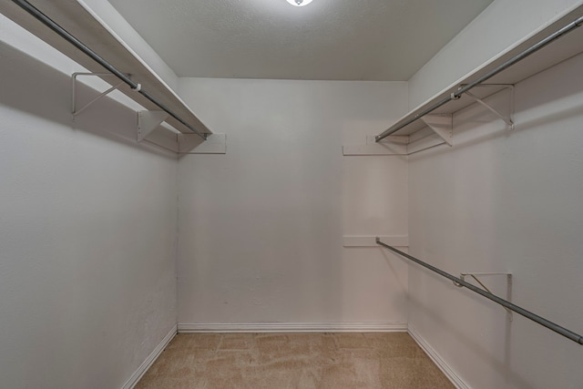 walk in closet with light colored carpet