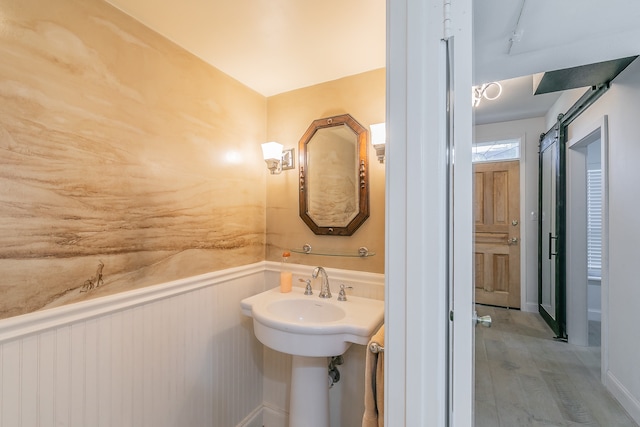 bathroom featuring wood-type flooring