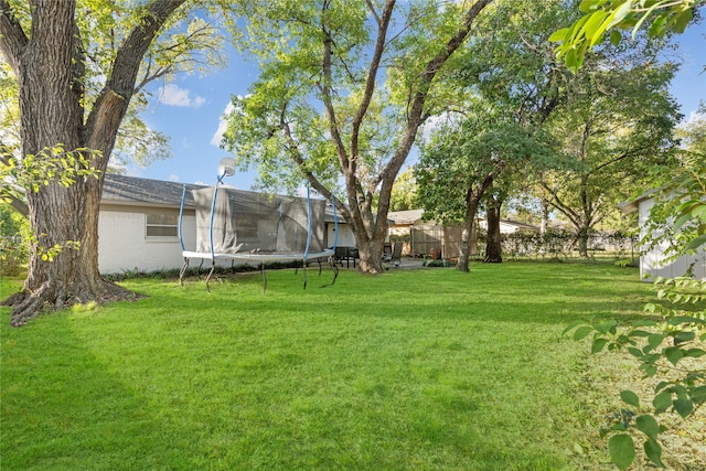 view of yard featuring a trampoline