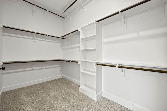 walk in closet featuring light colored carpet