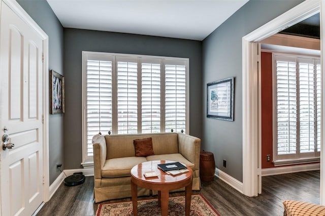 living area with dark hardwood / wood-style flooring