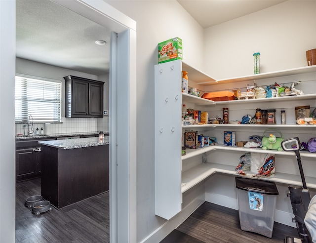 pantry with sink