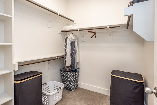 walk in closet featuring light carpet