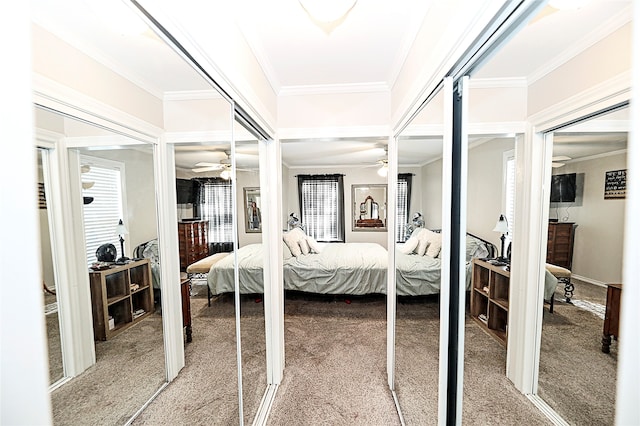 carpeted bedroom featuring multiple closets and crown molding