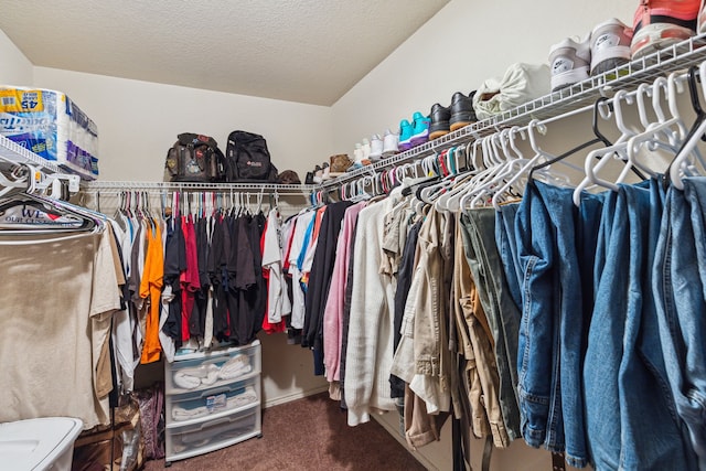 walk in closet with carpet floors