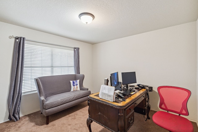 carpeted office featuring a wealth of natural light and a textured ceiling