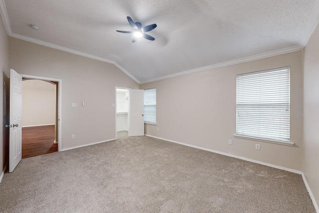 walk in closet featuring carpet floors